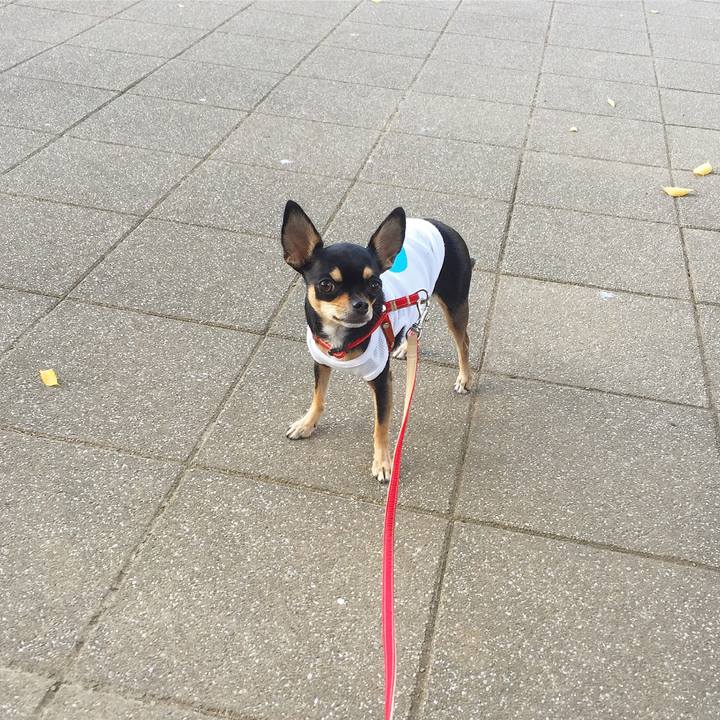 C922e1b1 fe42 4f0e 96bc d521461e4739