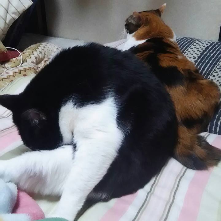 C9234b78 732c 410c 86bc 0a2978e24b1a