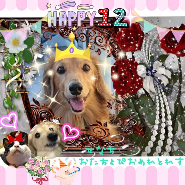 C9235cf7 db28 4624 a62e fd59311219f4