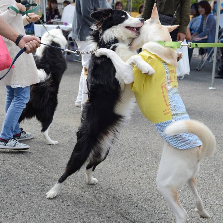 C923948b 4d5f 41fb a487 3027104caca2