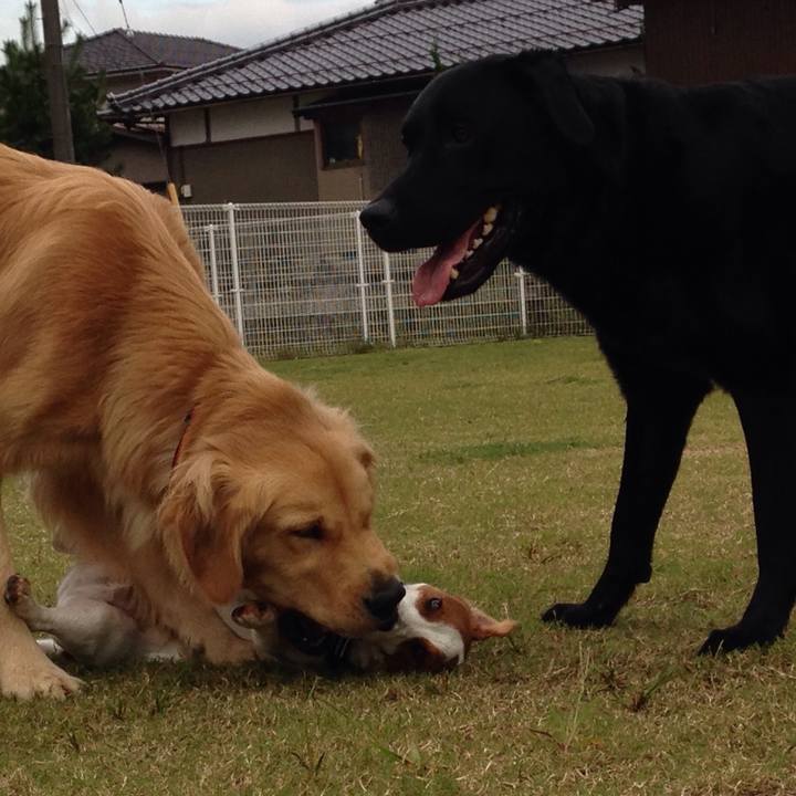 C923ee4c df7c 4707 a532 b6da6c4e14df