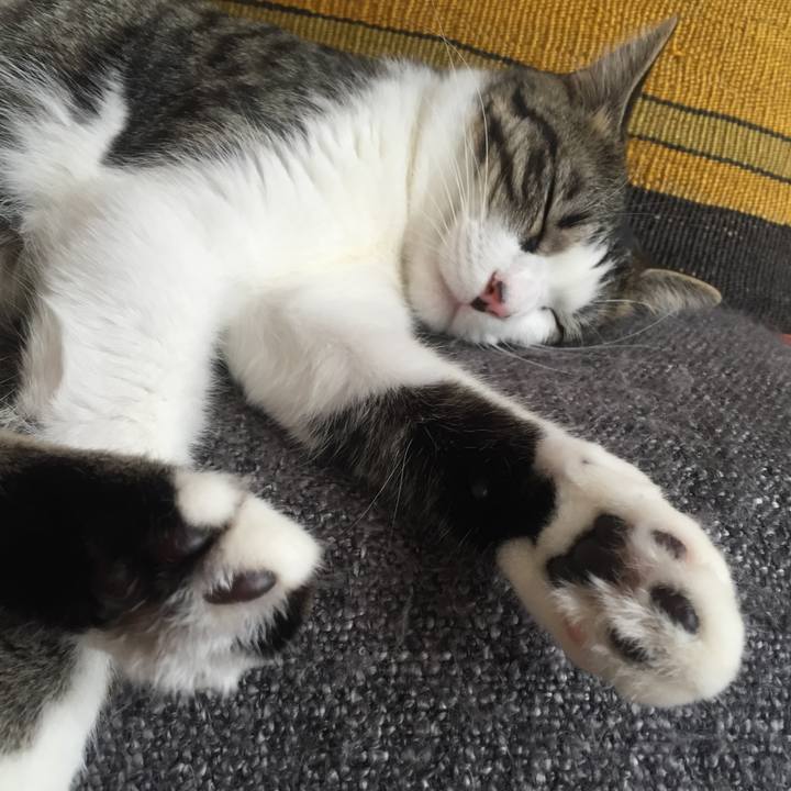 C923f48f babf 43fc 92bc f32e5e67b66f