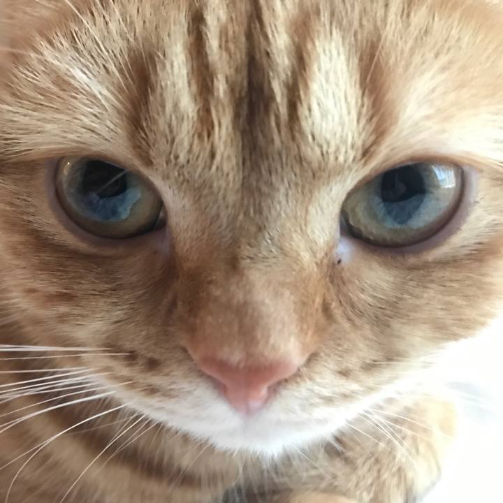 C924ae52 f6bd 4525 9890 99539a01b4aa