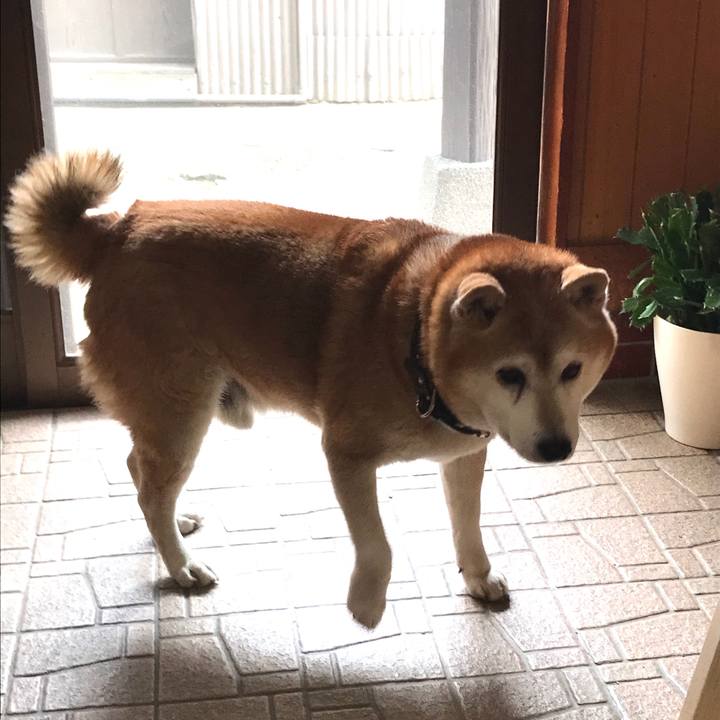 C924b6cf 69e1 43f8 a38a dce9e056d324