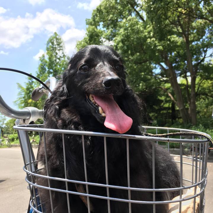 C925244c 838c 4534 86d4 e9d51686ccc5