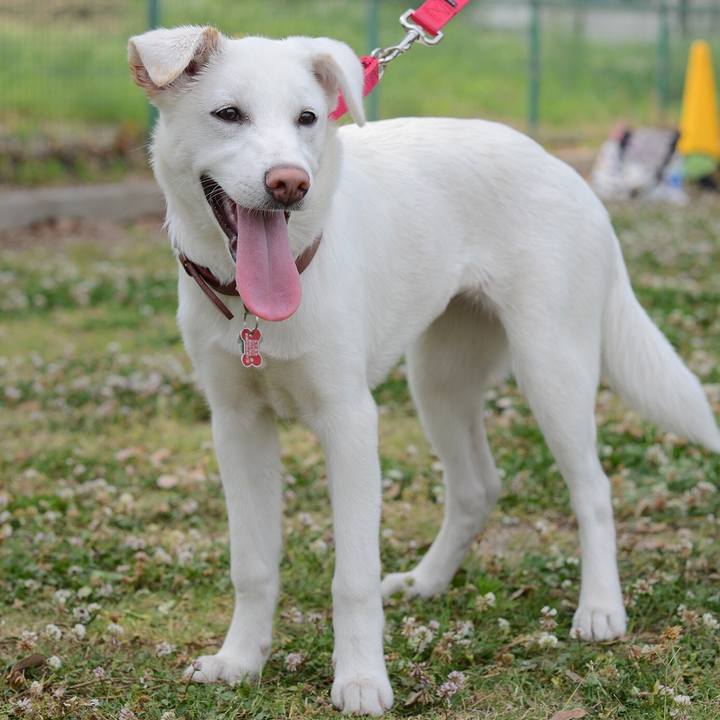 C9261bce 4b15 445a b8ef e381a0f43d9b