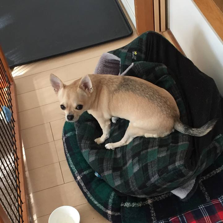 C926abaf 48dc 4fc8 96bb 6a1ce26a158d