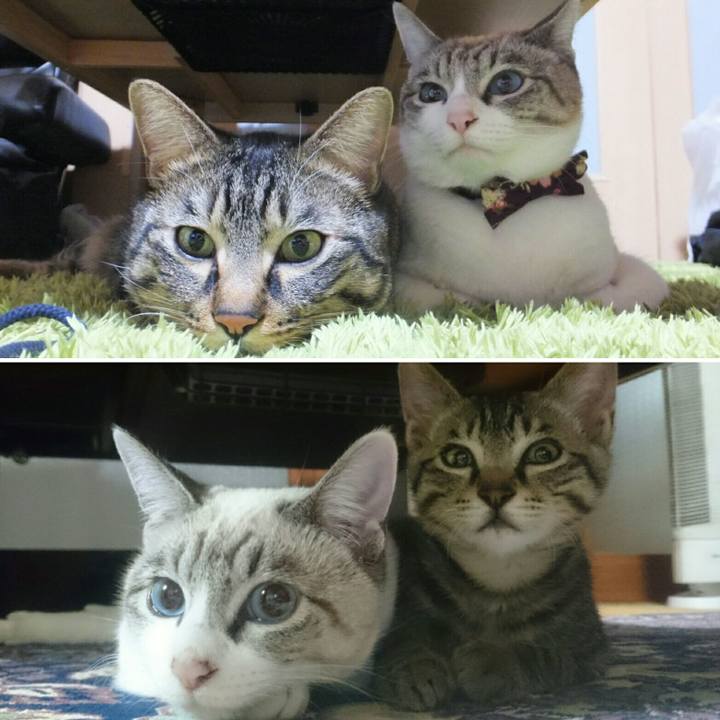 C926e67b bb21 48d3 9016 194249495a30