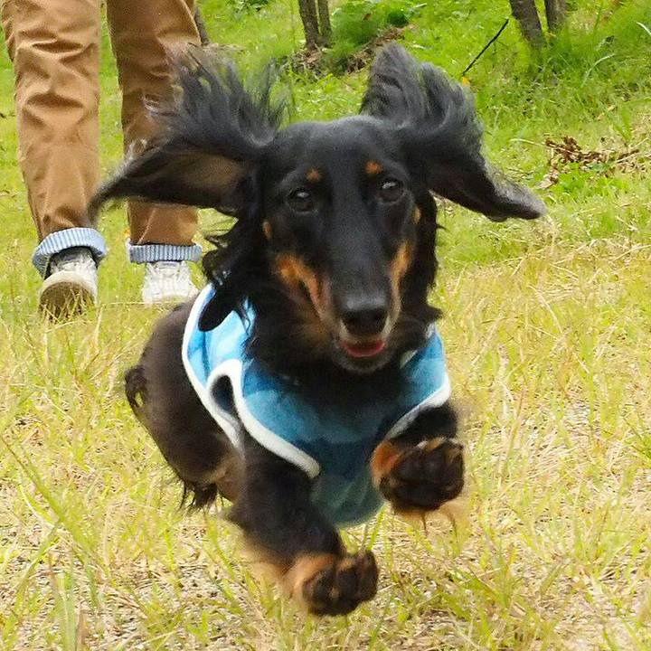 C927275a e63d 4551 b1a4 ed6a84c42729