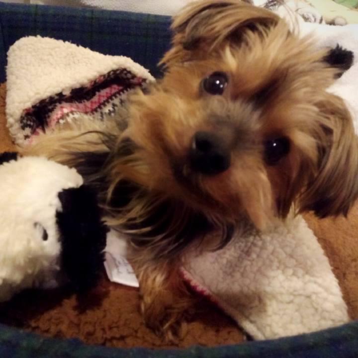 C9272a26 2ed0 423c b1a7 18bc8c02bcf8