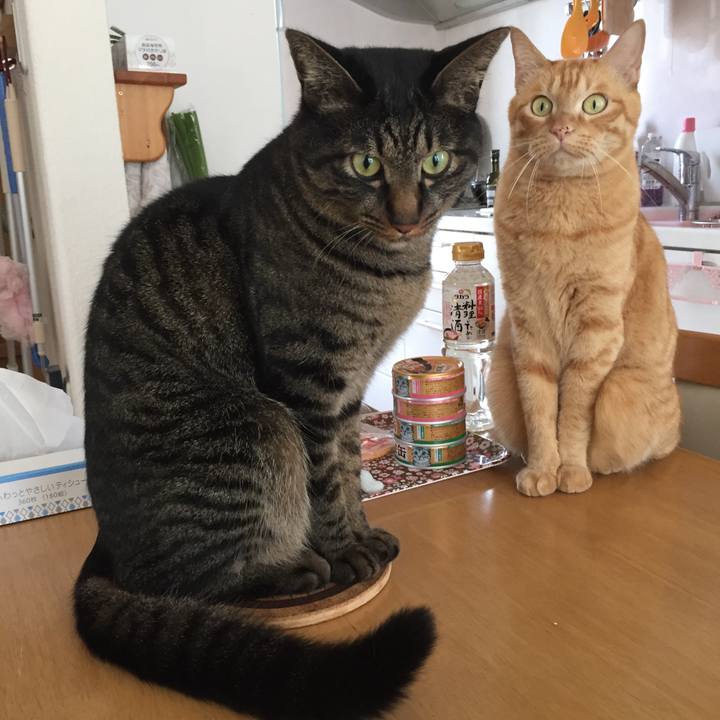 C927398b 42b6 4c2a a9d0 6b42da91765f