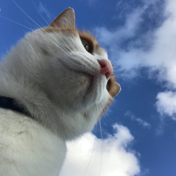 C92776f5 8e33 4af5 adb2 4c0760ea804b