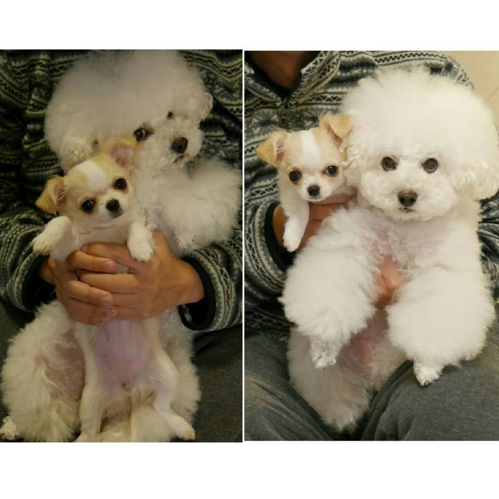 C9277836 4595 4c03 b76c 80a916630022