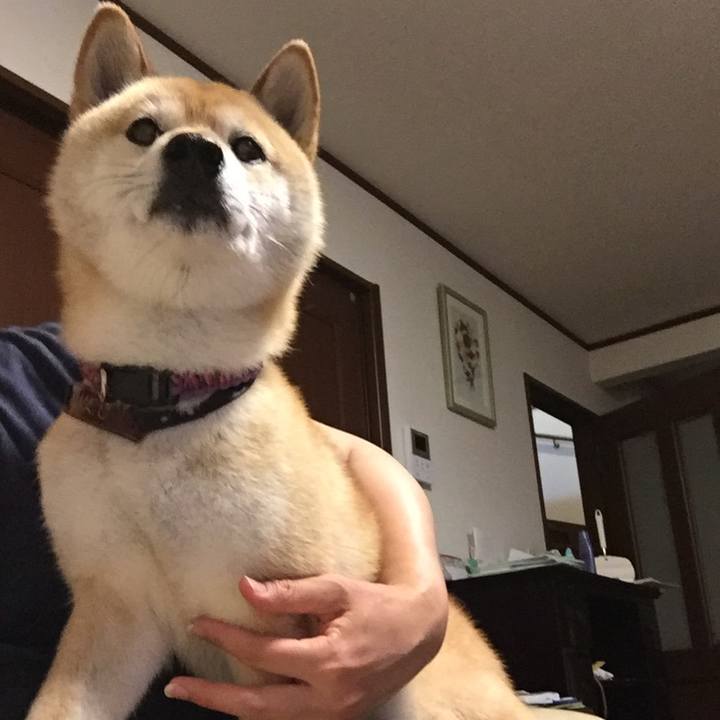 C927cef3 49be 4cc5 aeeb 0af5140827b3