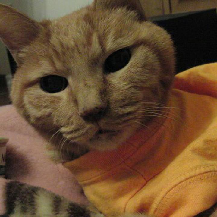 C9281a74 79b0 47d3 a681 5912cc7a5ae7