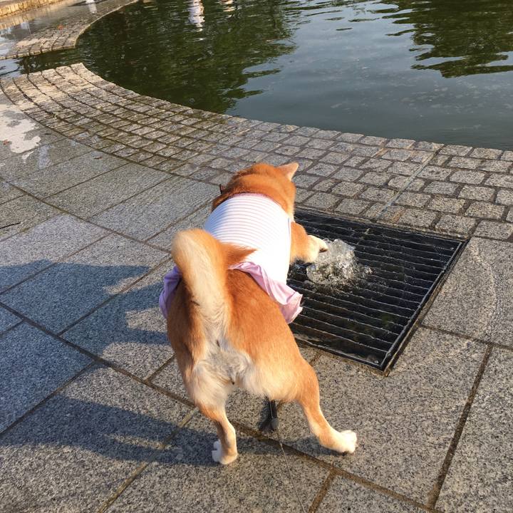 C928ded1 7975 4749 b5b6 6b4137c4fdfc