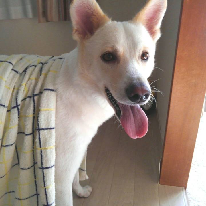 C9291915 a43c 4321 a430 0b83dcabb271