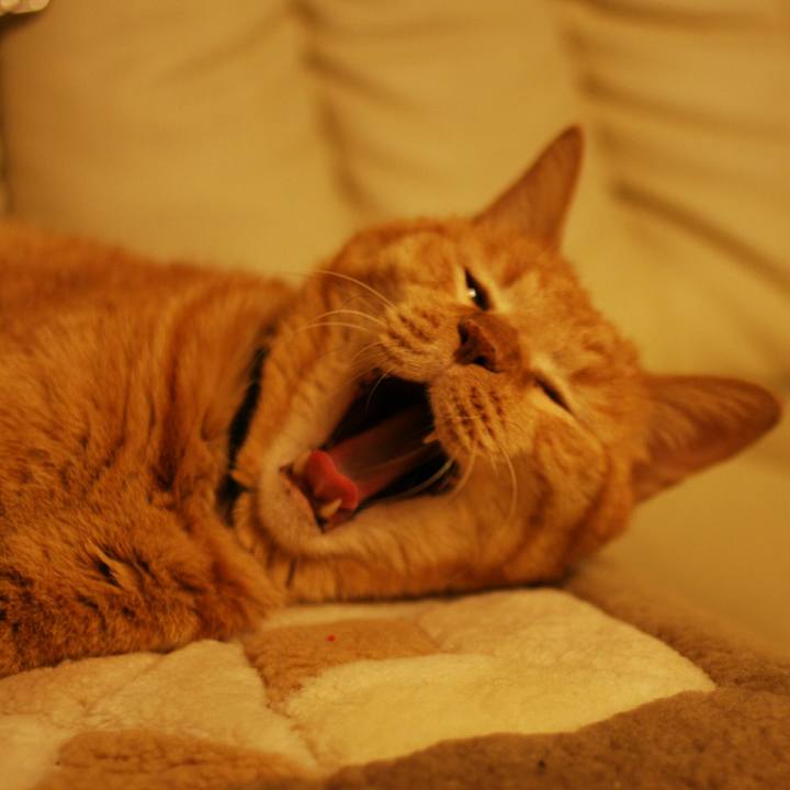 C9296f44 7578 4768 b946 49b650ba8ffa