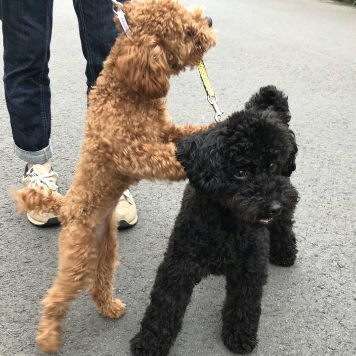 C92a31f2 6298 421e b759 9418742f9ac2