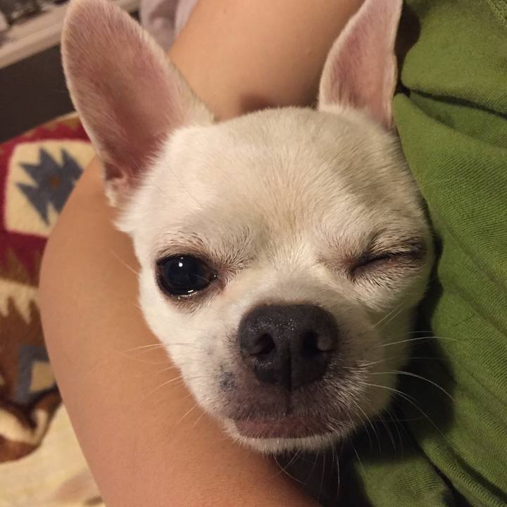 C92a8452 d3f9 45b8 ae69 87e735044e56