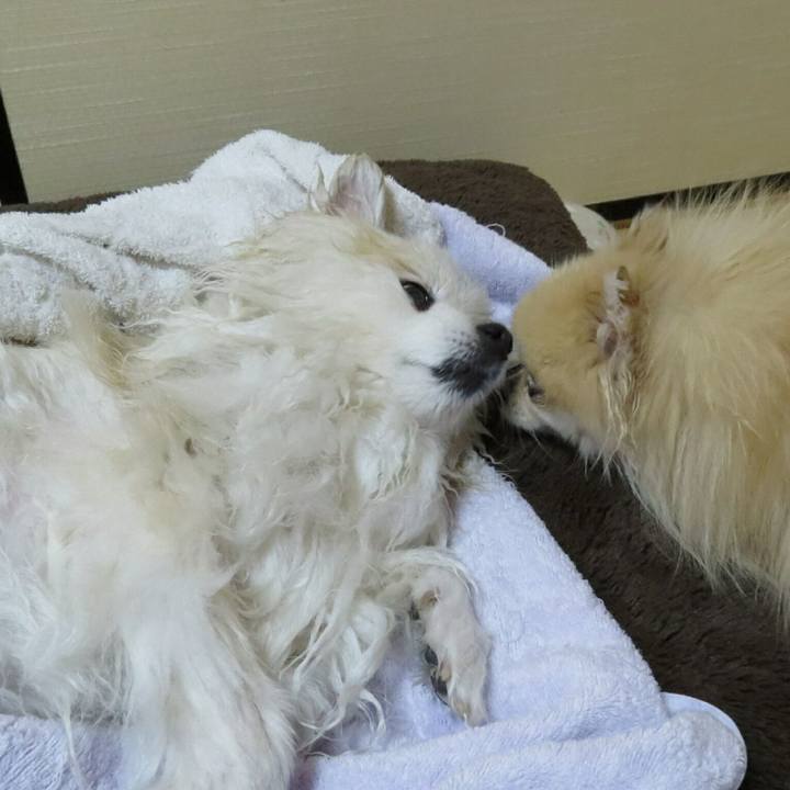 C92a84cb e20b 4ecd 95cb a8587ab3766e