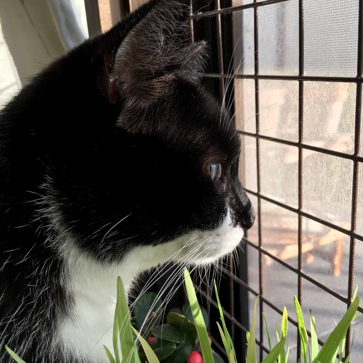 C92aa831 8298 426a 8202 651e1830987d