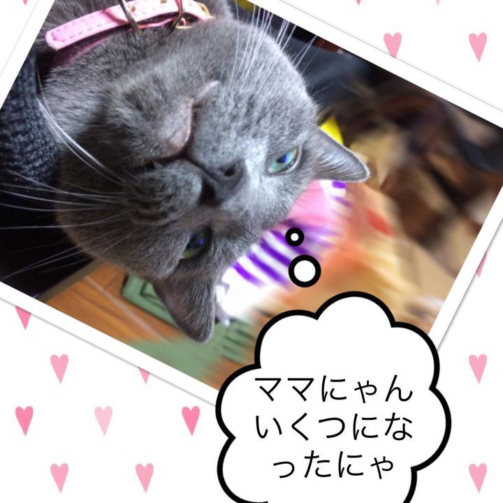 C92ae9ad 679d 4826 951c 8bdb7e2fe690