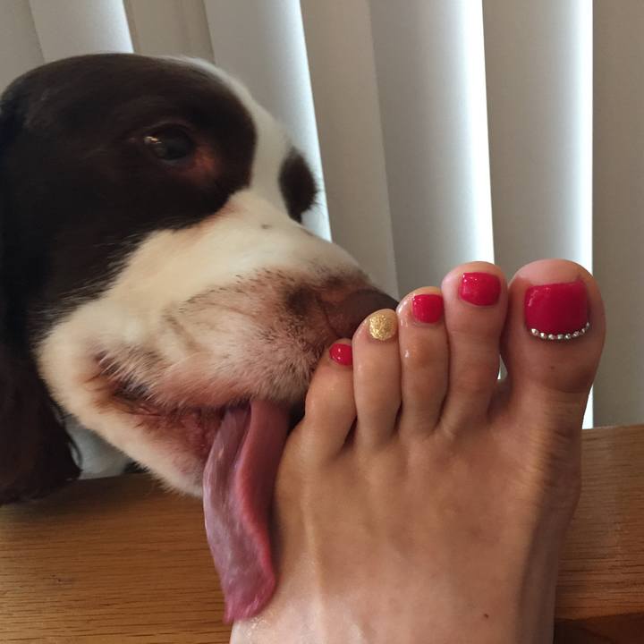 C92bd8f2 7fe1 4a4e 9ca1 6dc970850748