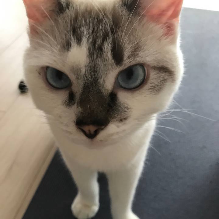 C92c0f17 d0e7 48b8 99cc 85c7cc942ca7