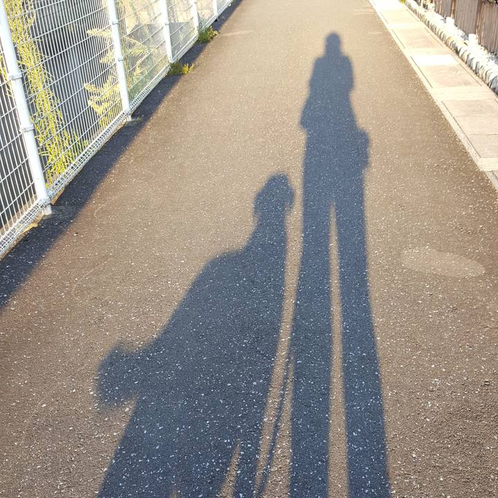 C92cbd78 7f63 4878 98de 2c9dc07a2edc