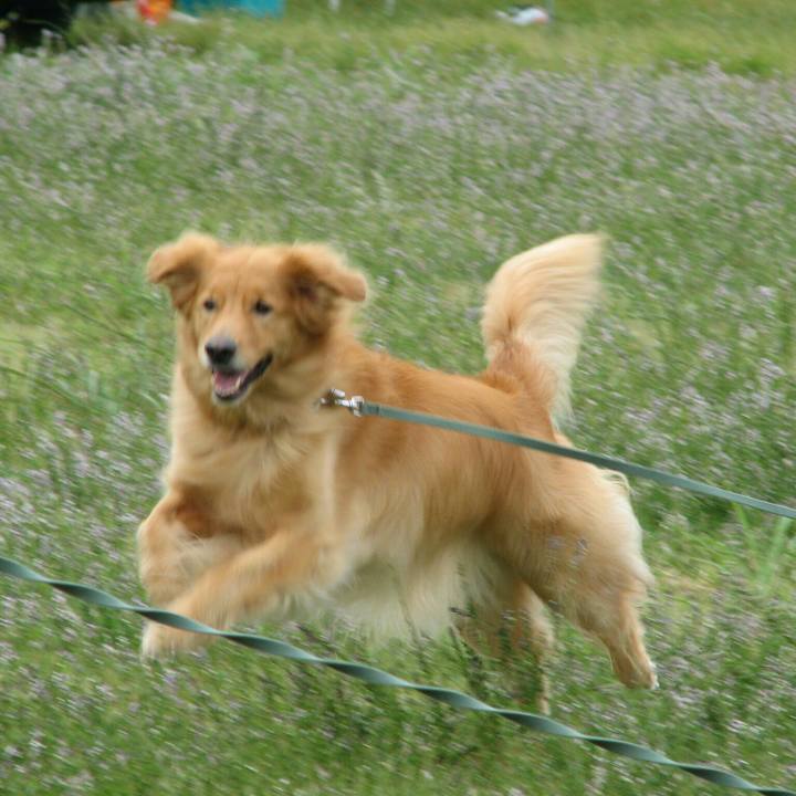 C92d5170 68ba 45ec 83cb e664e6fa8938