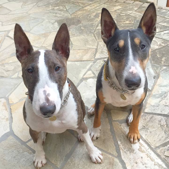 C92deed1 317a 4051 a269 1f27332a45d5