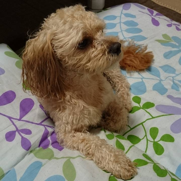 C92e10f5 72ac 420f a1d8 29b853a879ea