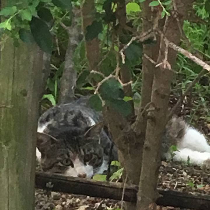 C92f640e 60e9 471c bf42 c522e9bbb54f