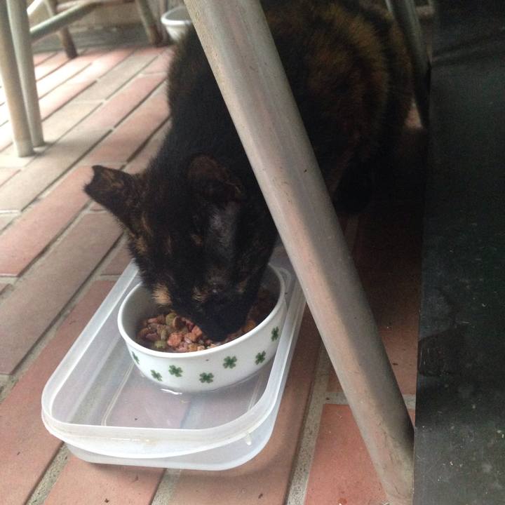 C92ffd34 d02a 4e46 ade8 b29afa9117ac