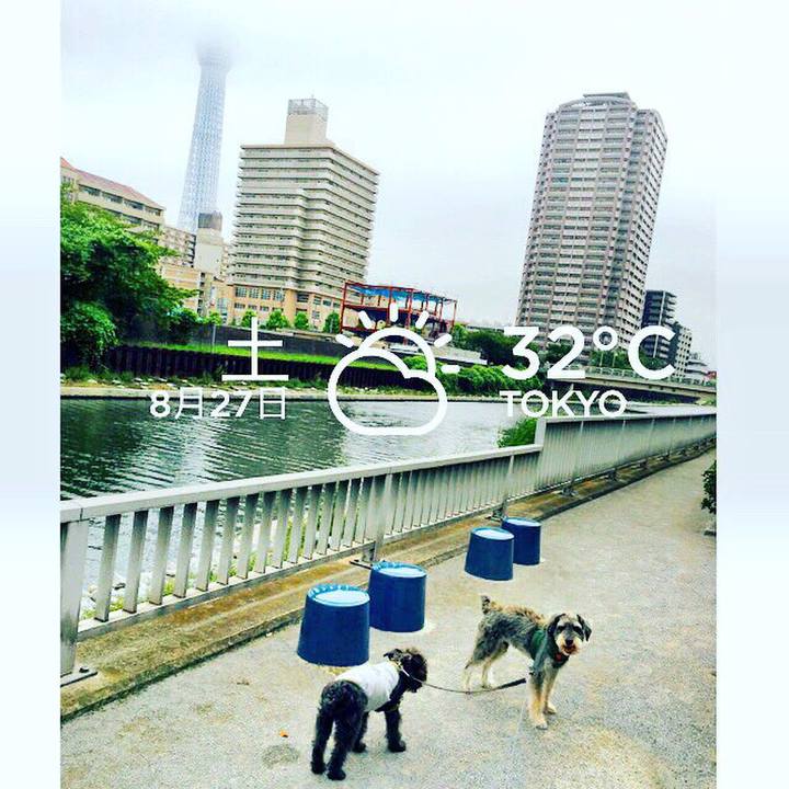 C9301395 cf42 45fd 8e88 beb623162e56