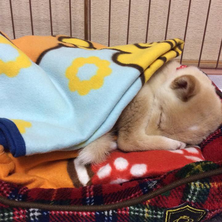 C930b2b4 5f42 4943 889f 49ecf9b7d575