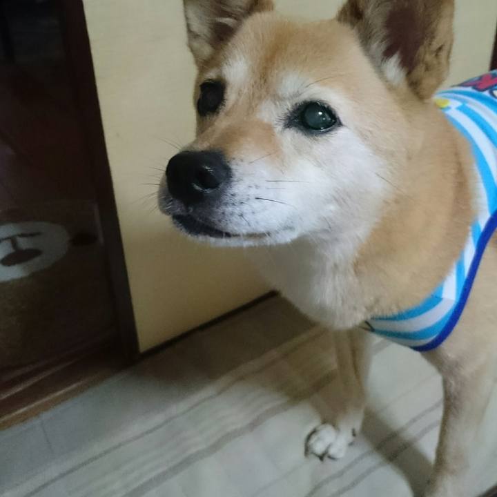 C930c987 d74f 4aaa 9f20 d52a702d103c