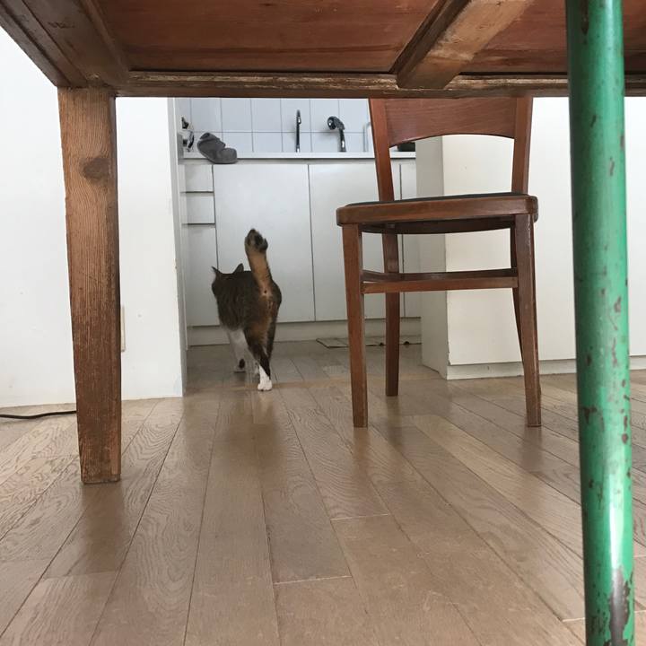 C931e76a e5da 4077 bd22 8d772c231f2a