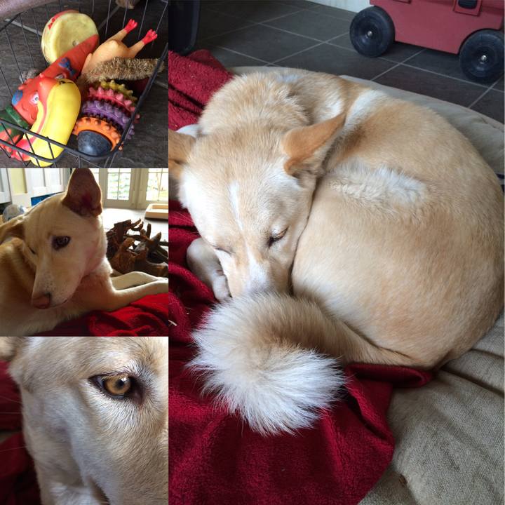 C9320e88 1a9e 4cb0 82dc d37de775b4be