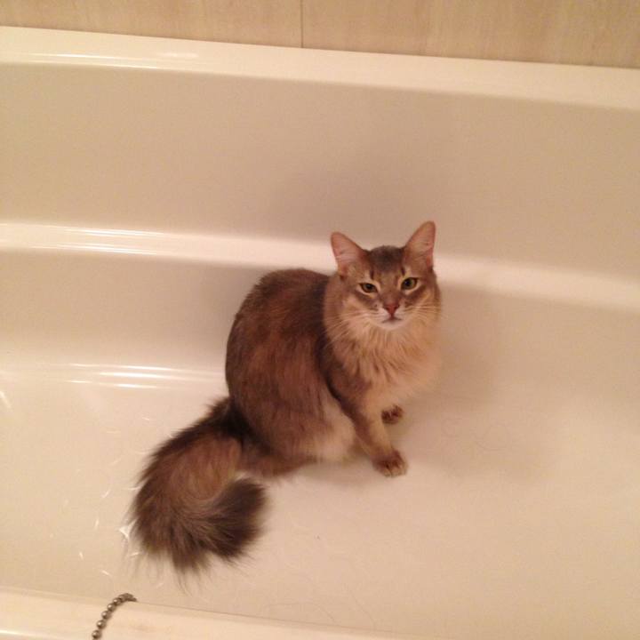 C9321484 6f9f 465f a796 a8ad6f378bdf