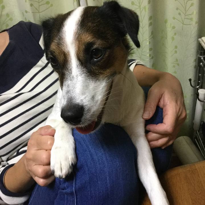 C9325bed e677 442c bfe4 fee62bfa67e4