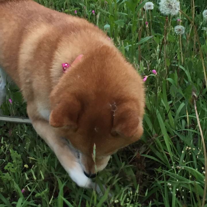 C93264dd e28a 4c95 8a08 e8fab5f381fb