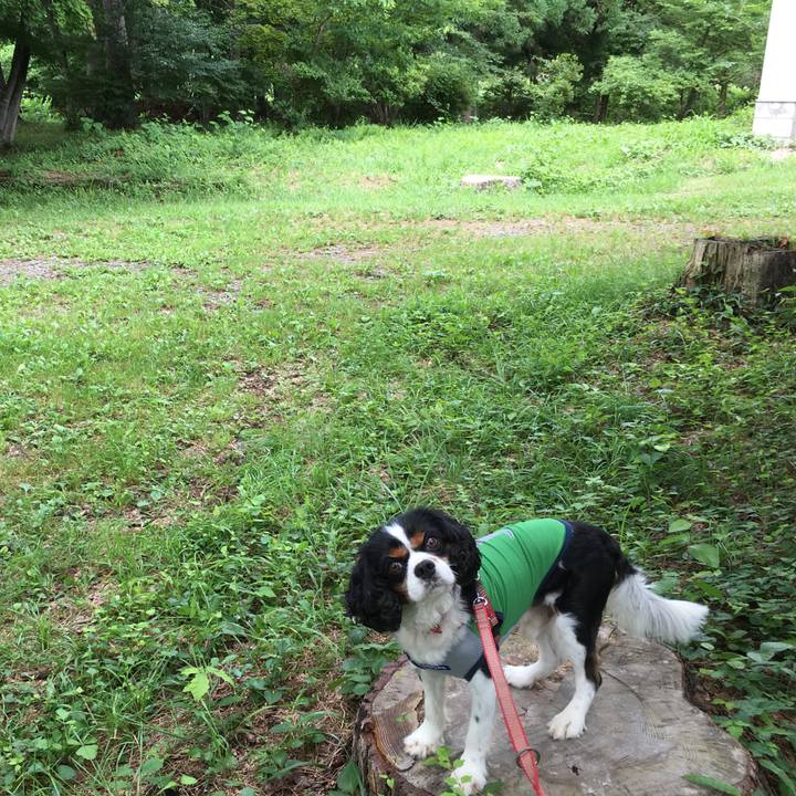 C93455d3 67f3 47bc 9390 fc4b4e097941