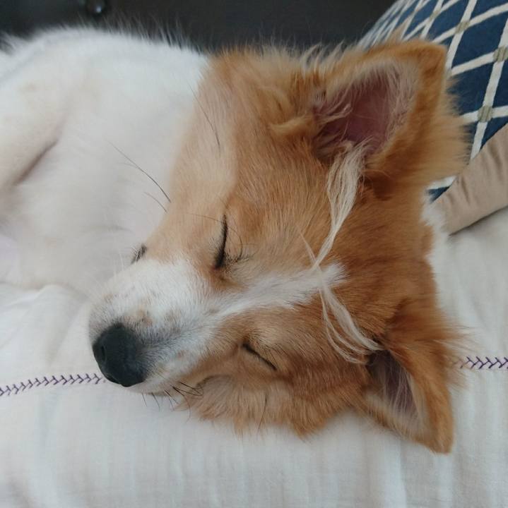 C9345735 c996 4755 8307 5ed0cde61b2d