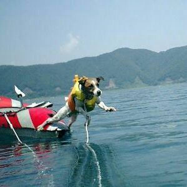 C935166c 477e 4ce8 88b9 946cfcad8f86