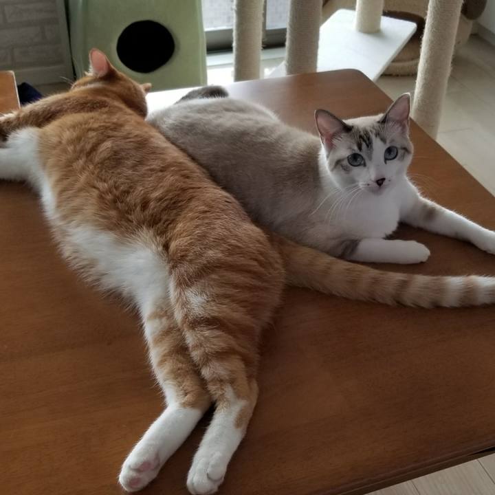 C9356ce7 9800 45ff b44e dc40f9a2229c