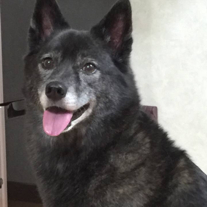 C9356f90 1a38 4c7f 9c3b bbca96d036a4