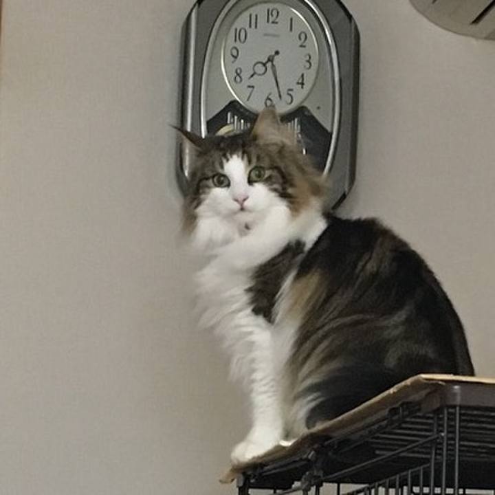 C935b3a2 8bca 4b63 a8fd 9d02b0504ff9