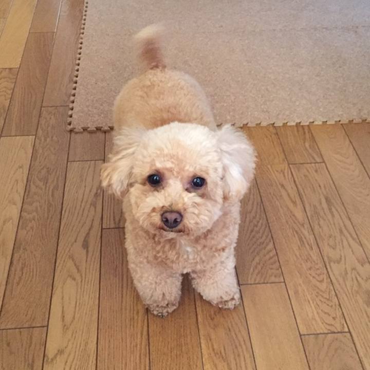 C935e03a 67e8 45c3 953a eaadcfc79d60